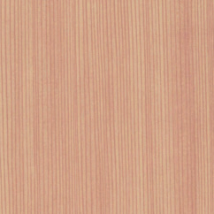 Residential doors wooden motives -  Pine